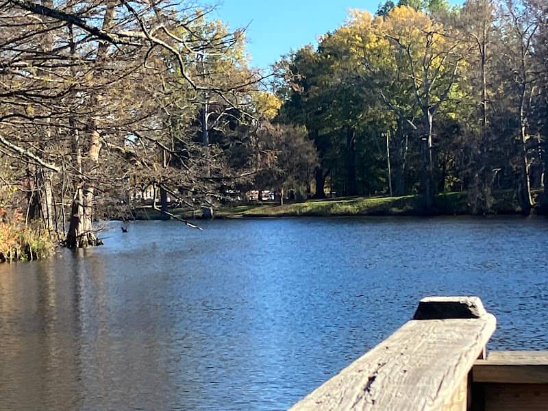 Lockwood Park - Image 1