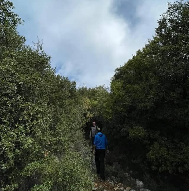 Mtein natural reserve - Image 3
