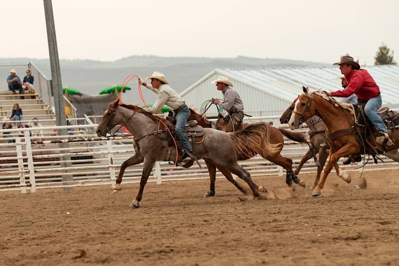 Middle Park Fair and Rodeo - Image 2