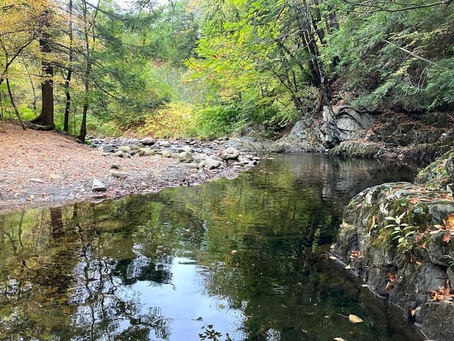 Fort Dummer State Park - Image 2