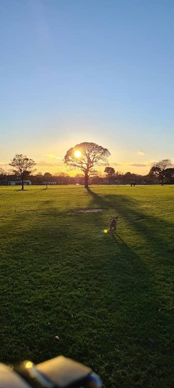 Buckingham Park & Playground - Image 1
