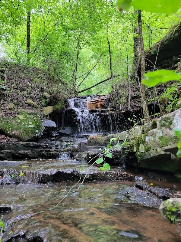 Cedar Falls - Image 2