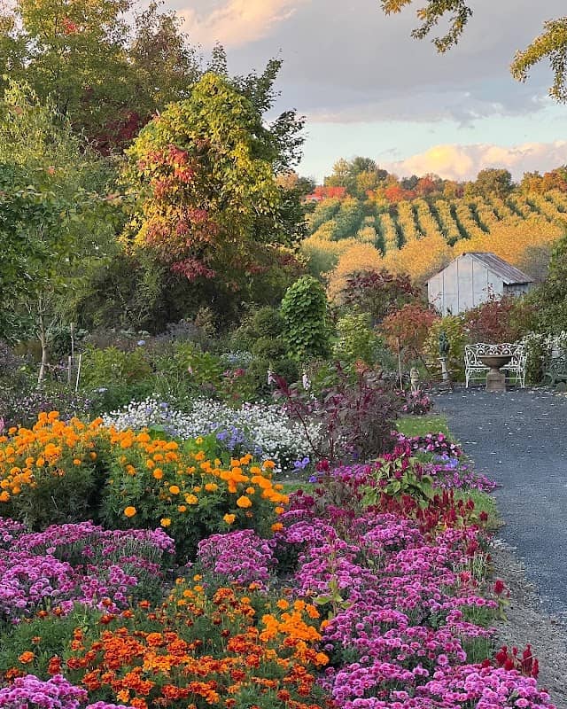 Liberty View Farm - Image 2