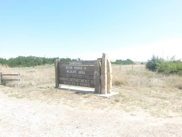 Friends of Sandsage Bison - Image 2
