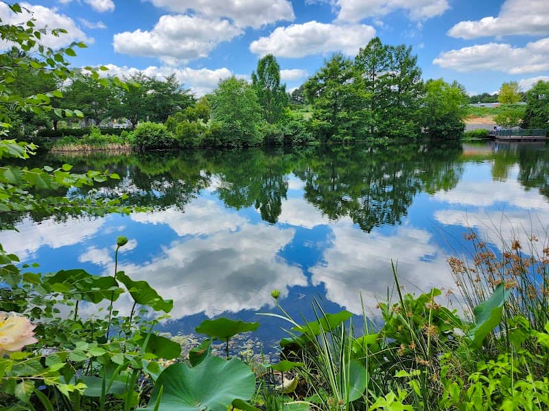 Lake Sydnor - Image 1