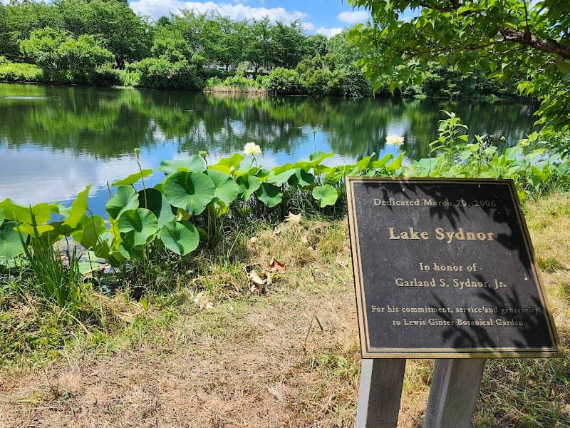 Lake Sydnor - Image 2
