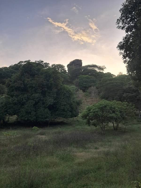 El meteorito - Image 1