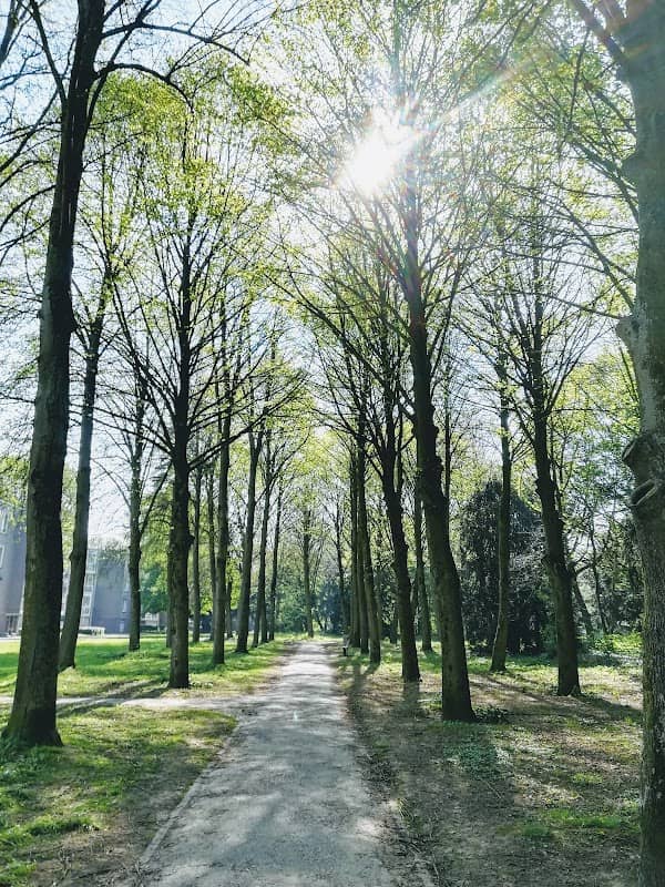 Rozenpark - Image 2