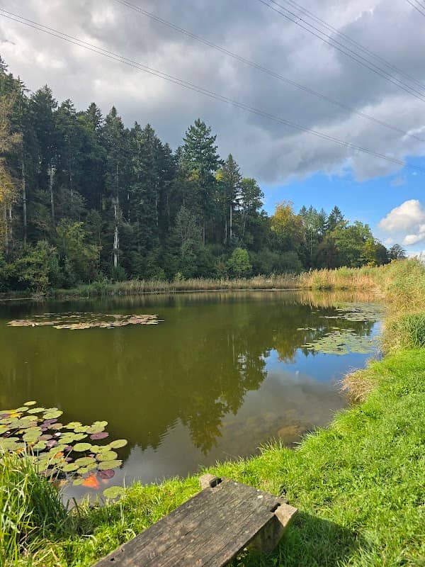 Turbenweiher - Image 1
