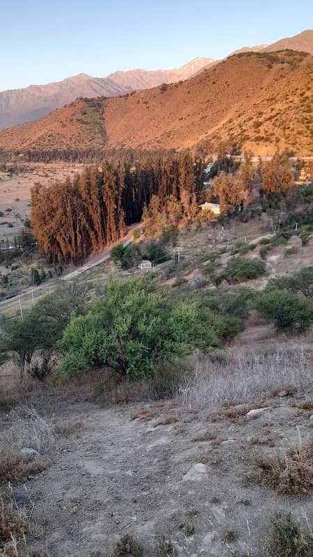 Cerro Chequén - Image 2
