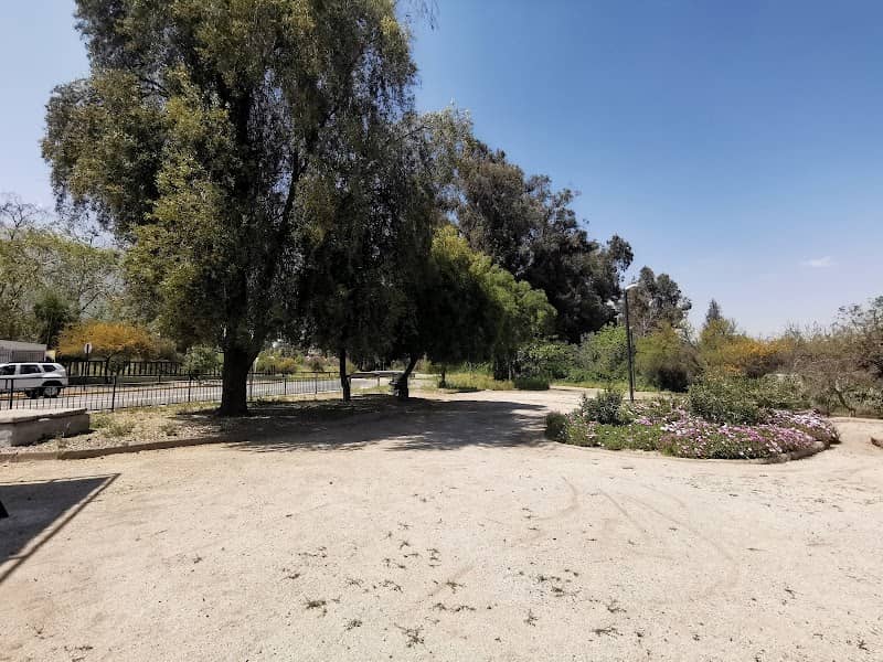 Plaza Alto Macul - Image 1