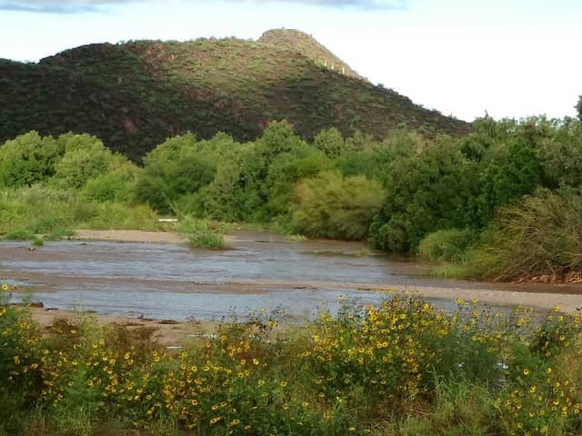 El Rio Neighborhood Park - Image 2
