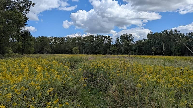 Capital City Bird Sanctuary - Image 2