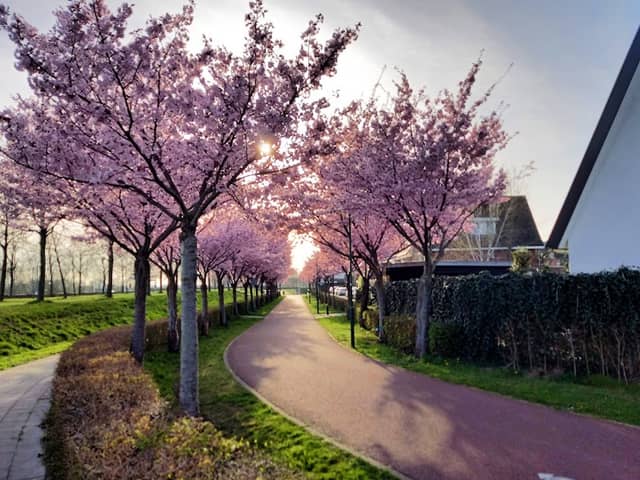 Bastion Zuid-Oost Vijfwal - Image 1
