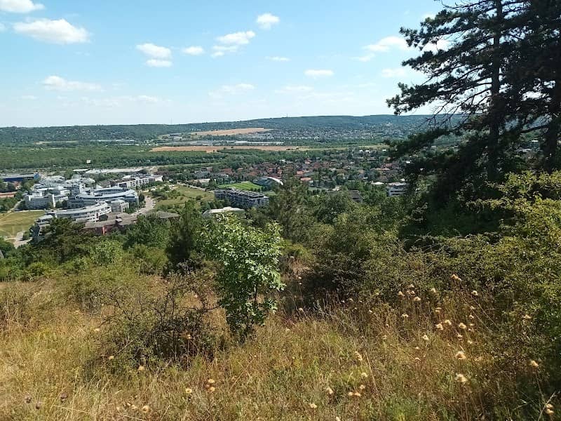 Kilátás déli irányba - Image 1
