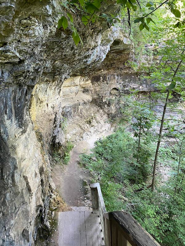 Lakeside Forest Wilderness Area - Image 2
