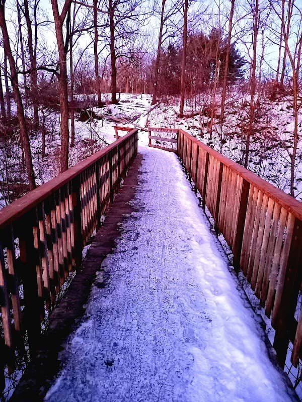 Fanshawe Lake Trail Turtleback - Image 1