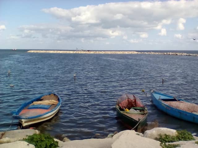 PARC DU PORT - Image 2