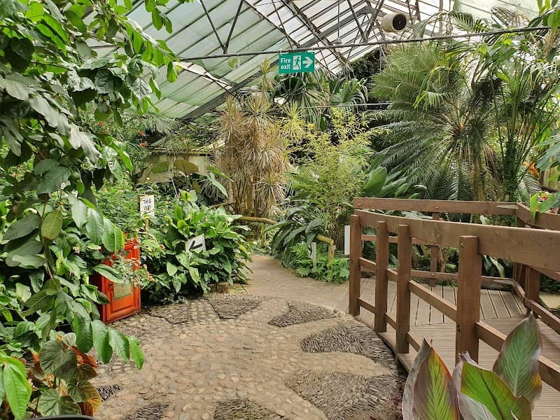 Manor Heath Jungle Experience - Image 1