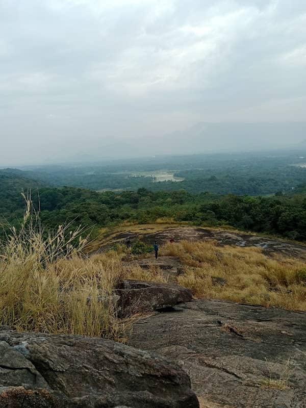 PAPER TOWN HILL - Image 1