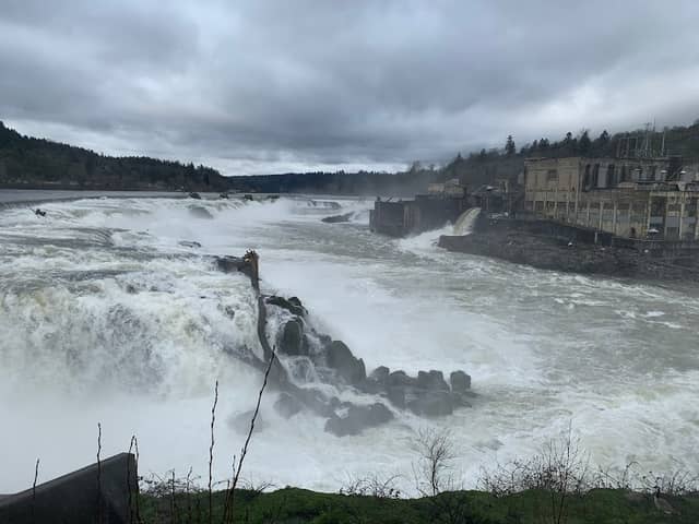 Willamette Falls - Image 2