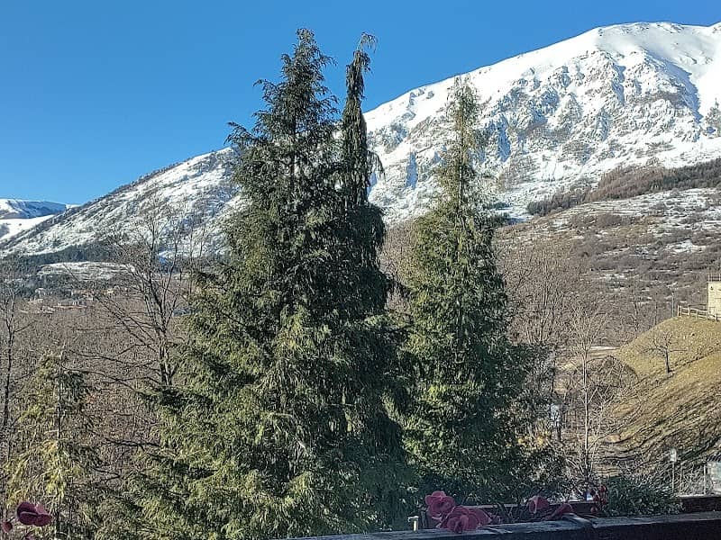 I cerri - Image 1