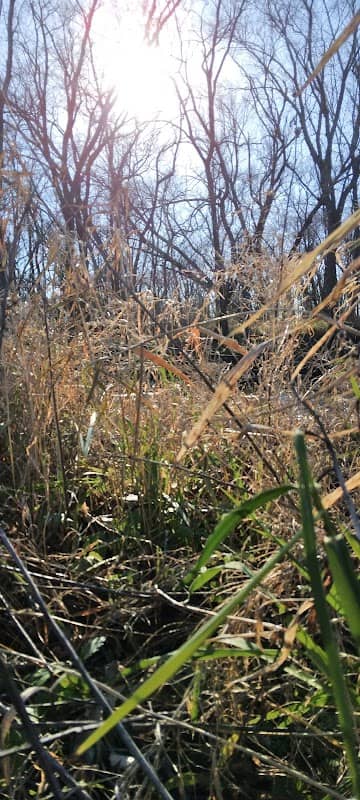 Red Gate Park - Image 1