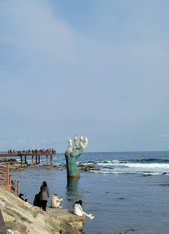 Homigot - Image 1