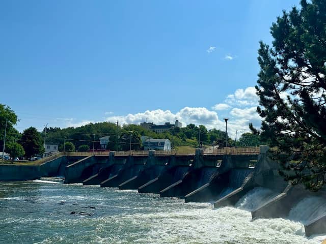Salmon Observation Post - Image 1