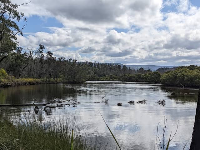 Narrawallee Creek Nature Reserve - Image 1
