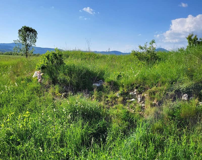 "Cumidava" Roman Fort - Image 1