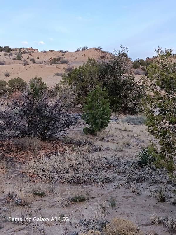 Saddleback Park - Image 1