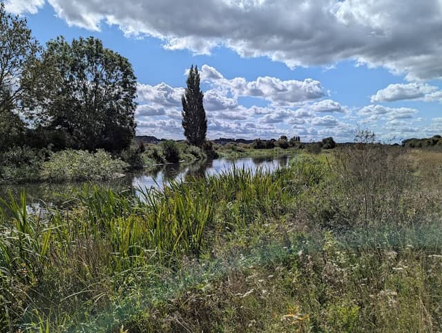 King's Mead Nature Reserve - Image 1