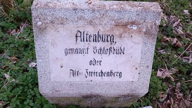Burgstelle Altenburg - Image 1