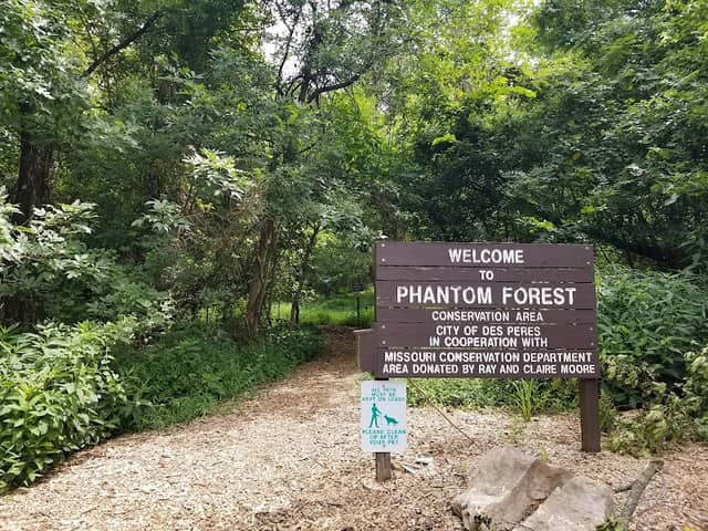 Phantom Forest Conservation Area - Image 1