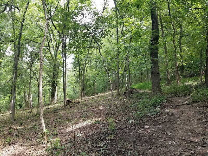 Phantom Forest Conservation Area - Image 2
