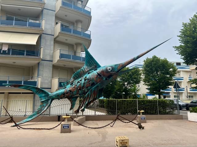Plotzky il pesce sognatore - Image 1
