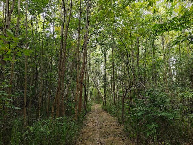 Manitou Beach Preserve - Image 2