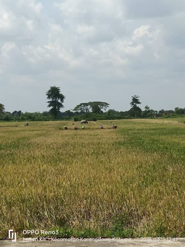 Sawah Lor Omah - Image 1