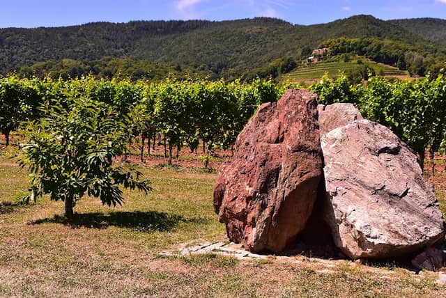 Steinsäule - Geologischer Lehrpfad - Image 1