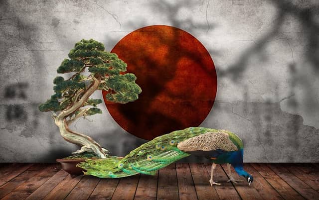 Jardin de Bonsai y Aves Exoticas - Image 1