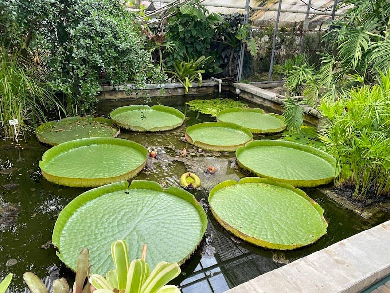 Sbírkové skleníky Výstaviště Flora Olomouc - Image 2