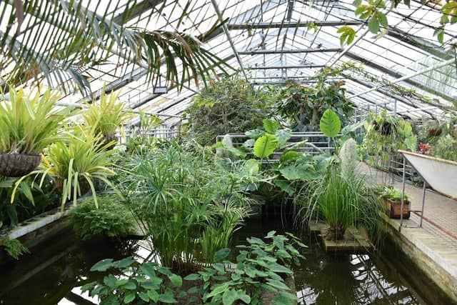 Sbírkové skleníky Výstaviště Flora Olomouc - Image 3