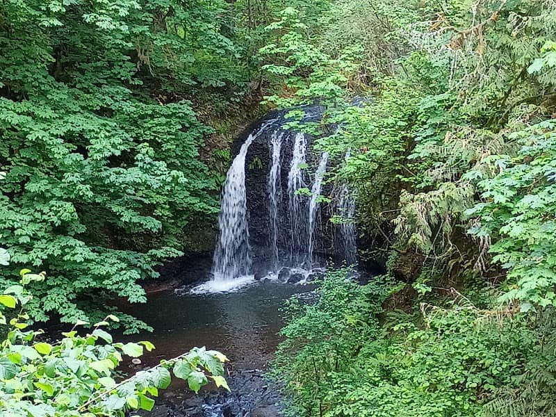 Hidden Falls Nature Park - Image 1