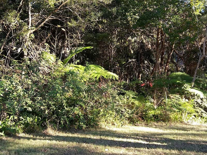 Koorangi Reserve - Image 1