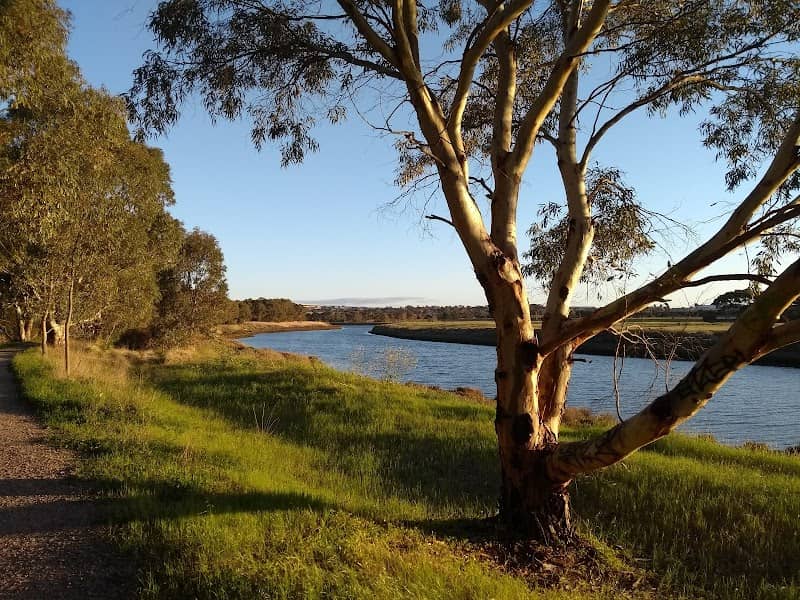Onkaparinga Wetlands - Image 3