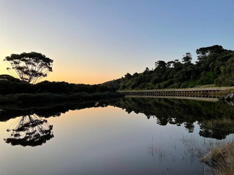 Onkaparinga Wetlands - Image 2