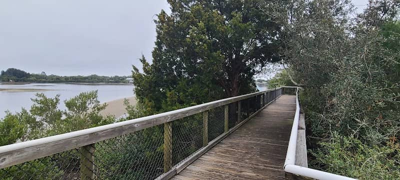 Cemetery Point Boardwalk - Image 2