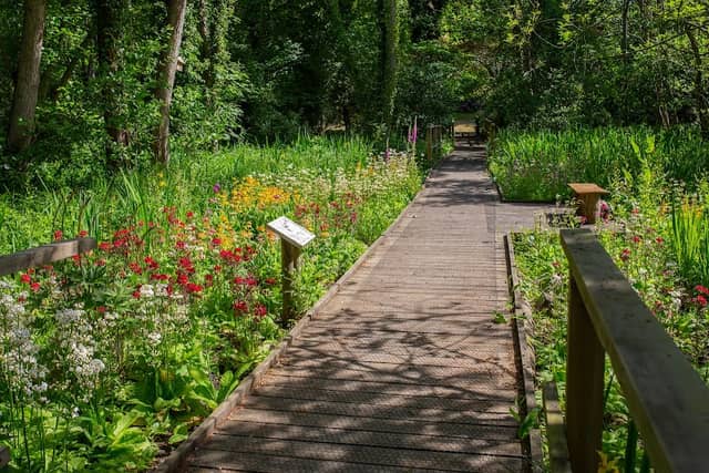 Fairhaven Woodland & Water Garden - Image 1