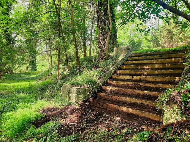 The Little Acre - Image 2